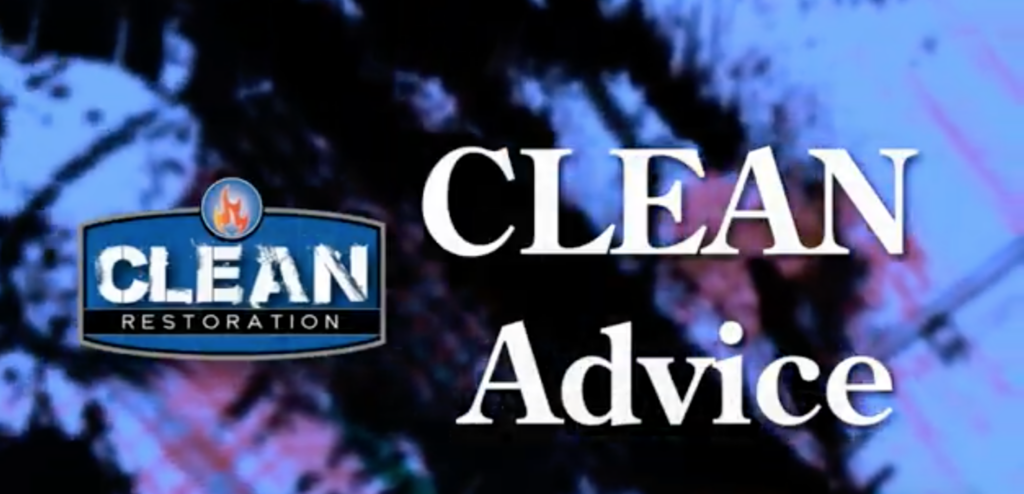 CLEAN ADVICE: About mold